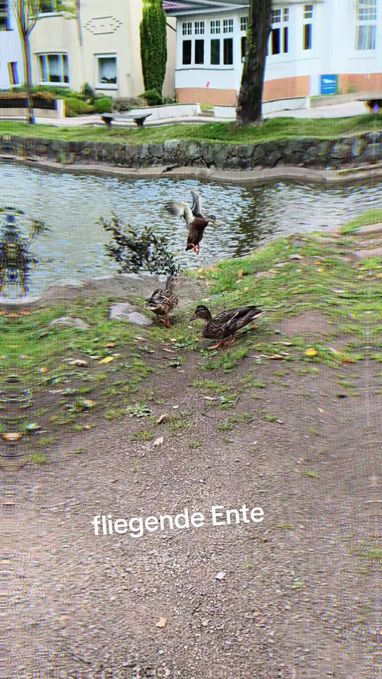 @❤Queen 🦖