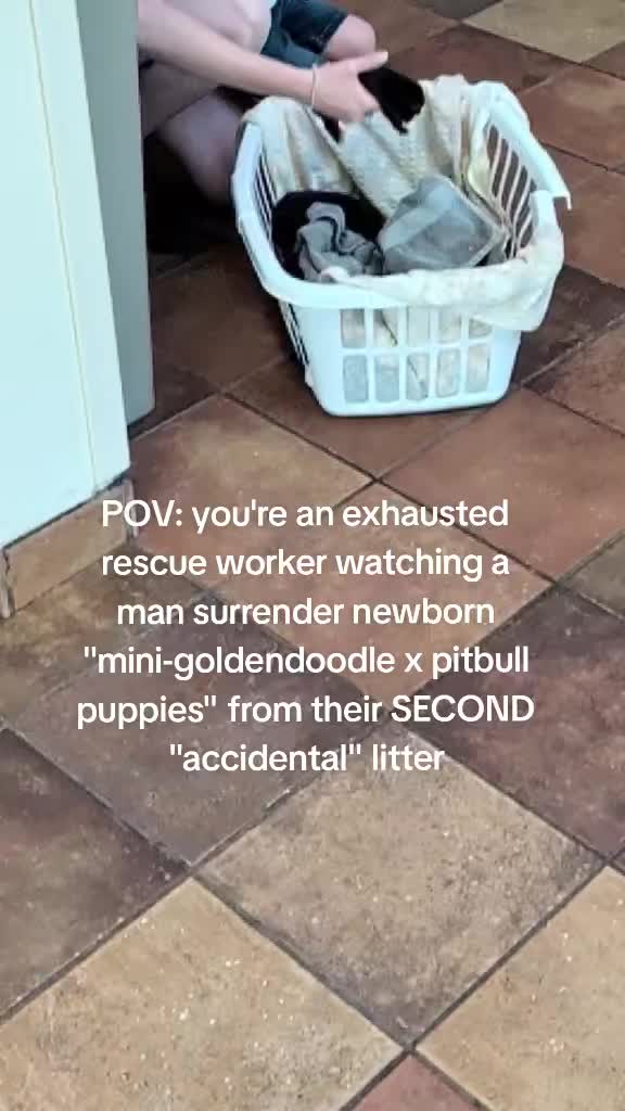 @Boonie Babies