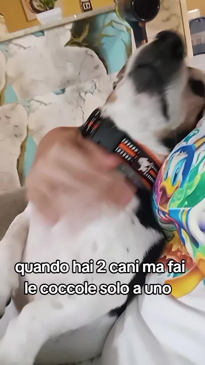 @dylan e diesel