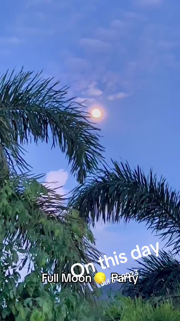 @Thailand #foryou