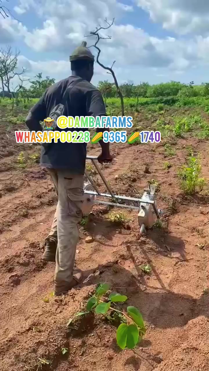@dambafarms