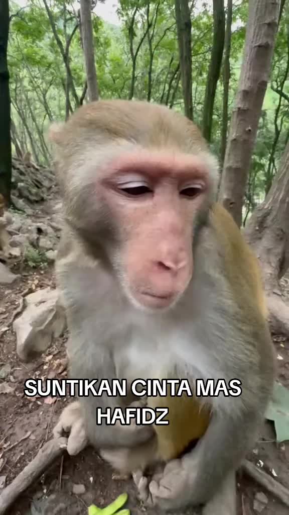 @CONANIAN🧐