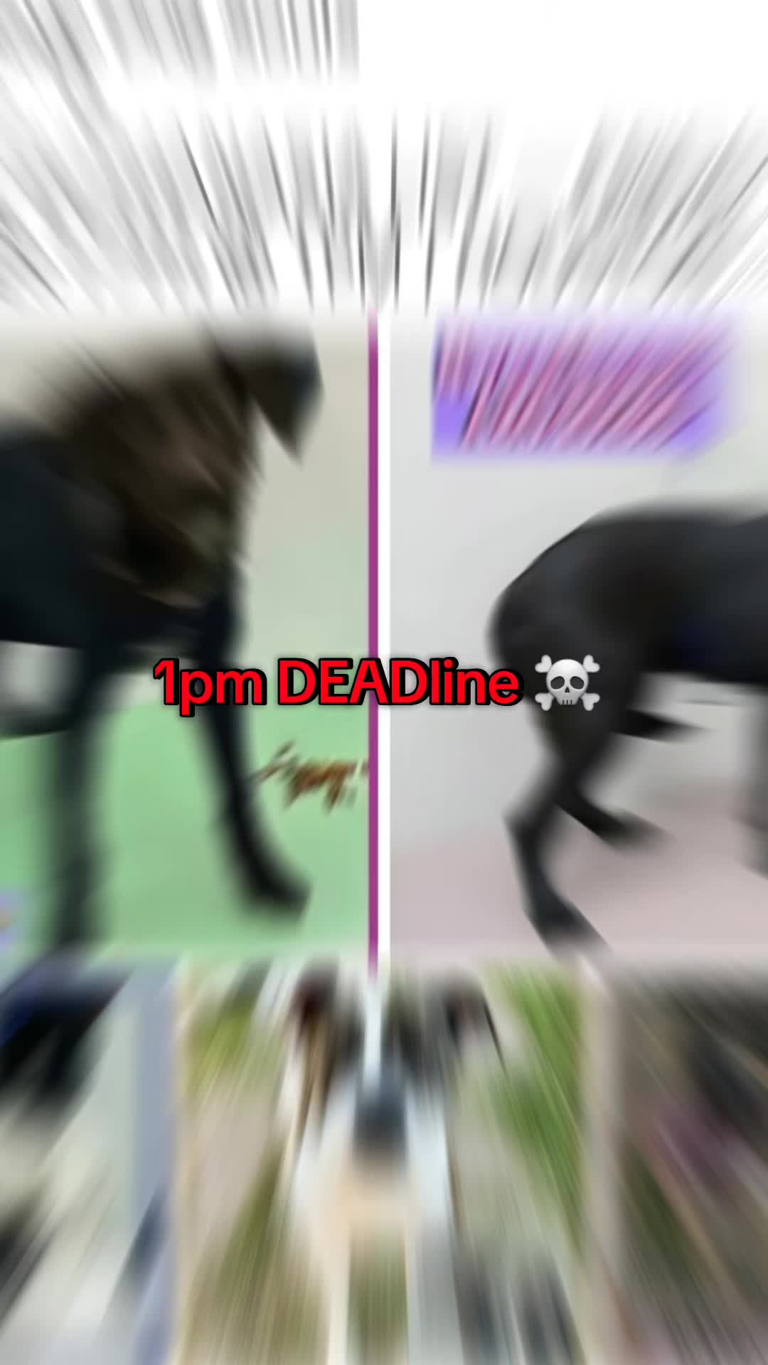 @Save Dog Souls