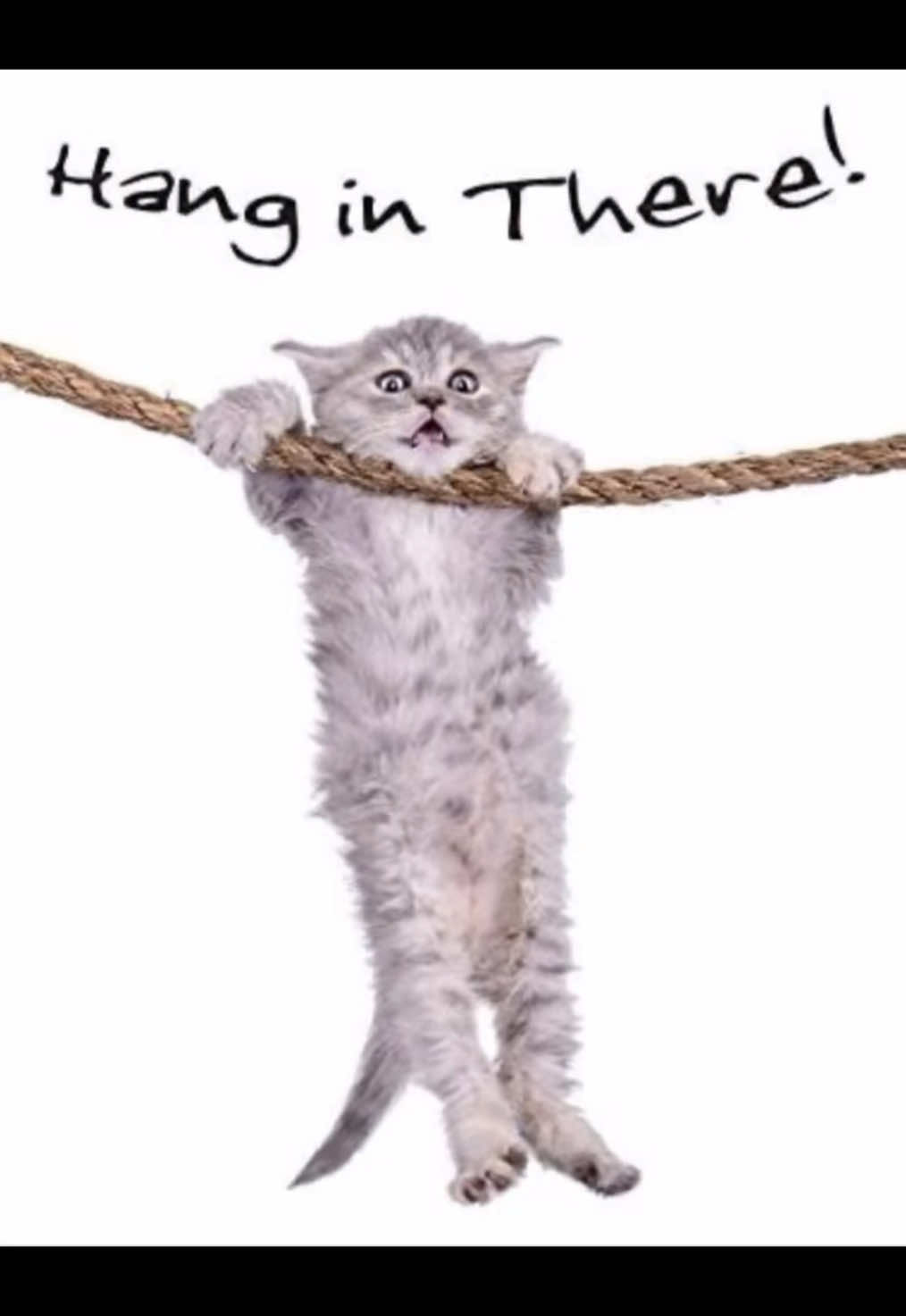 @โ
๐ซ๐๐ ๐๐๐ฑโ