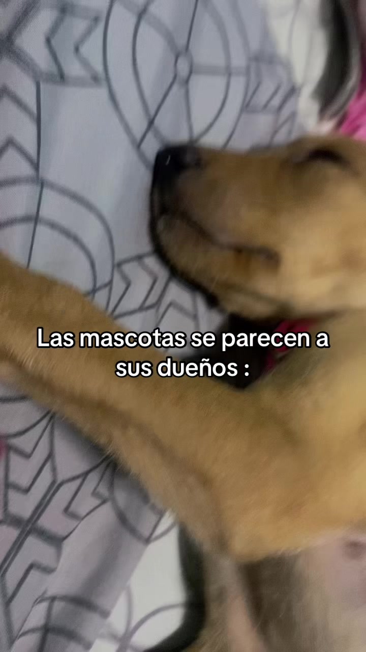 @angie_vzla16