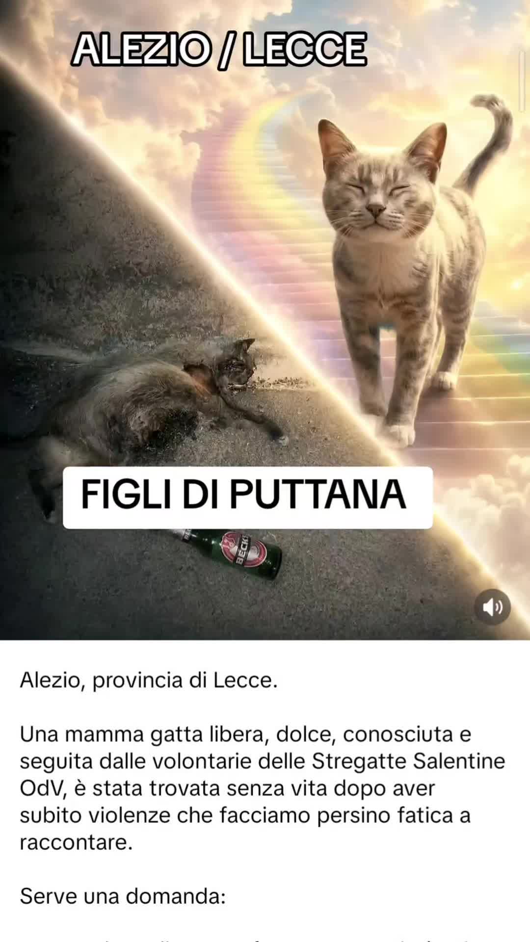 @Flo🌹 Napolitano 🌹