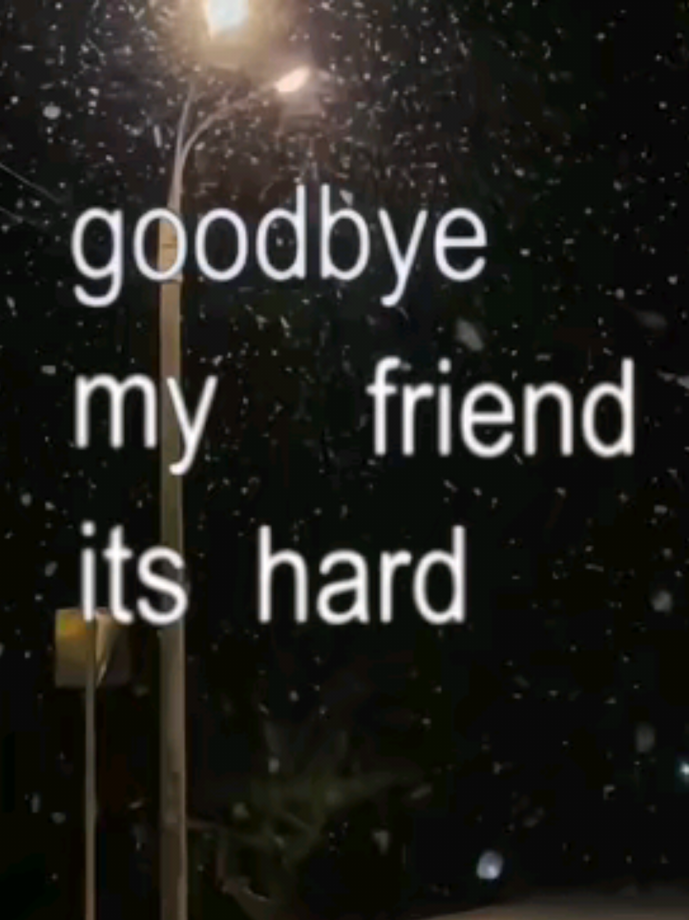 @F𝖎yαɧ づ。◕‿‿◕。づ