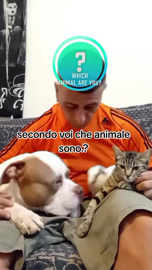 @La tribù del conte Max