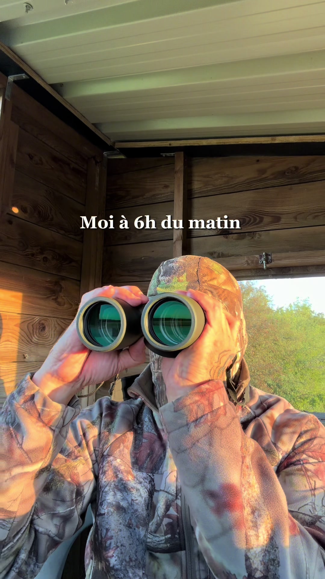 @micka 🐗