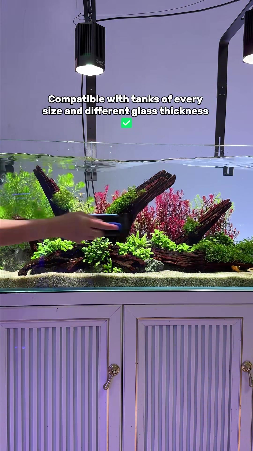 @AQQA Aquarium Store