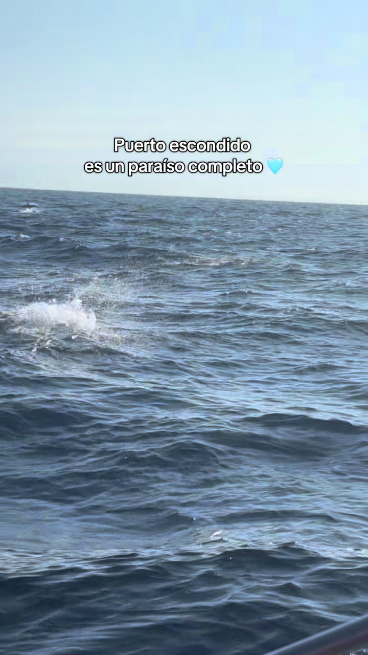 @Lesly Martinez
