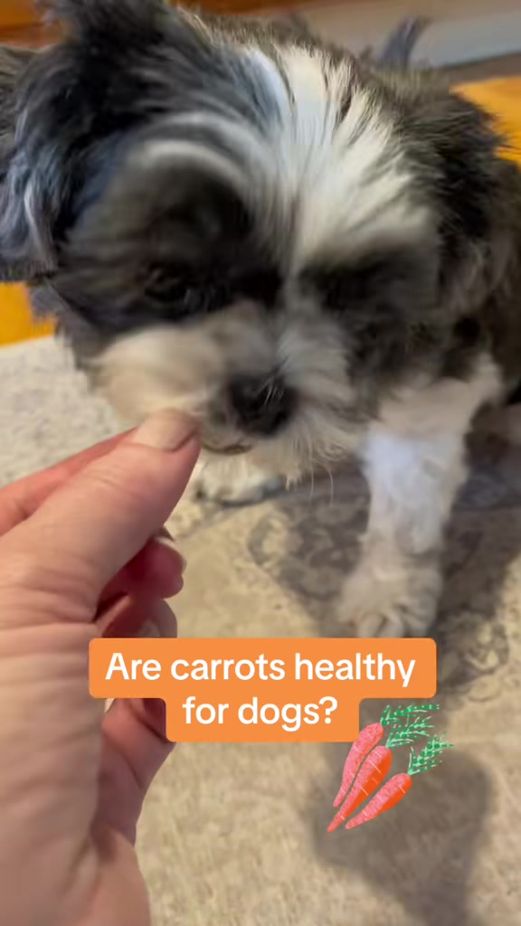 @LittleLuna.and.Lola