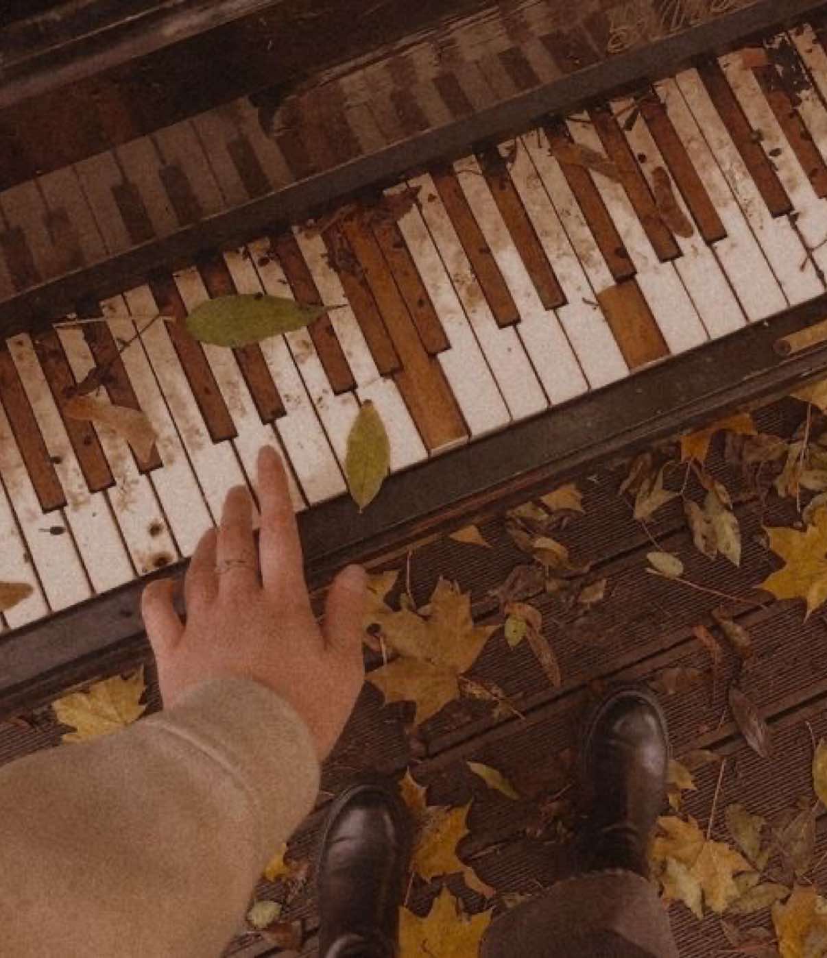 @𝒶𝓁ℴ𝓃𝒹𝓇𝒶 ♡︎