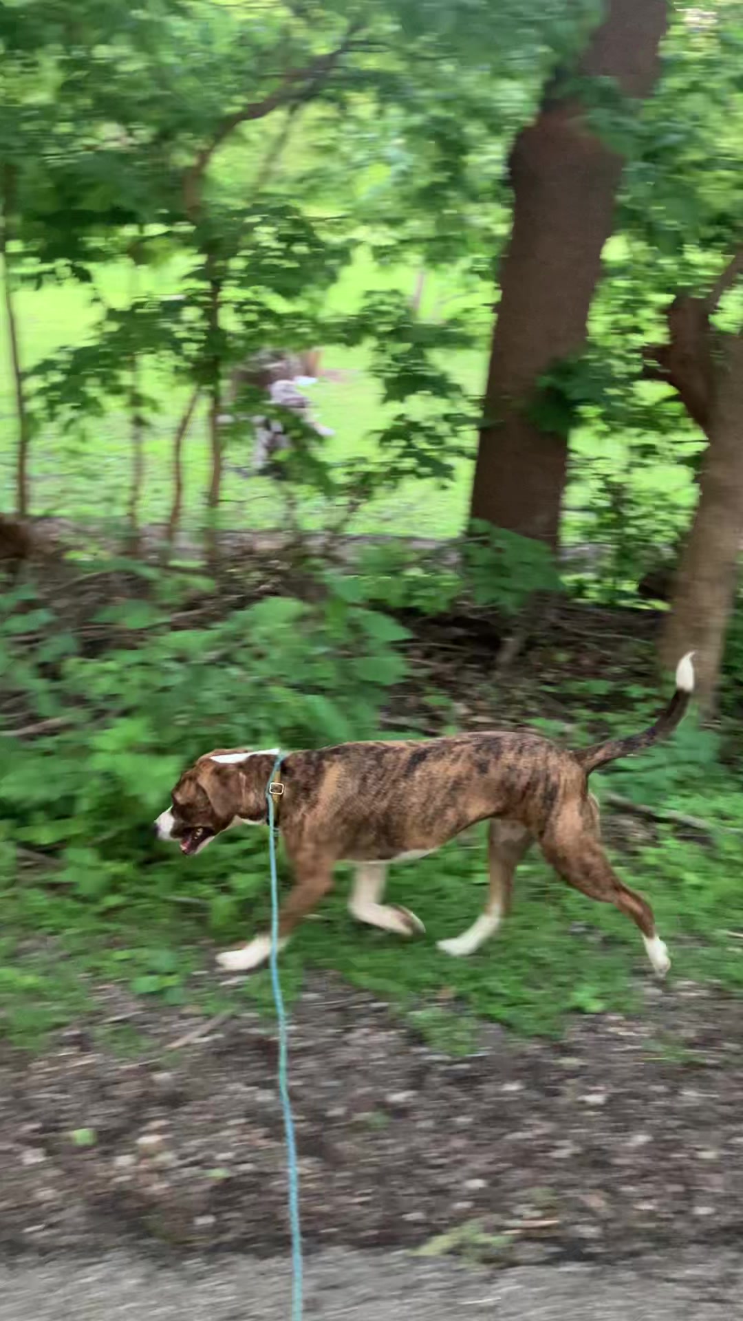 @Hikingwithstanley
