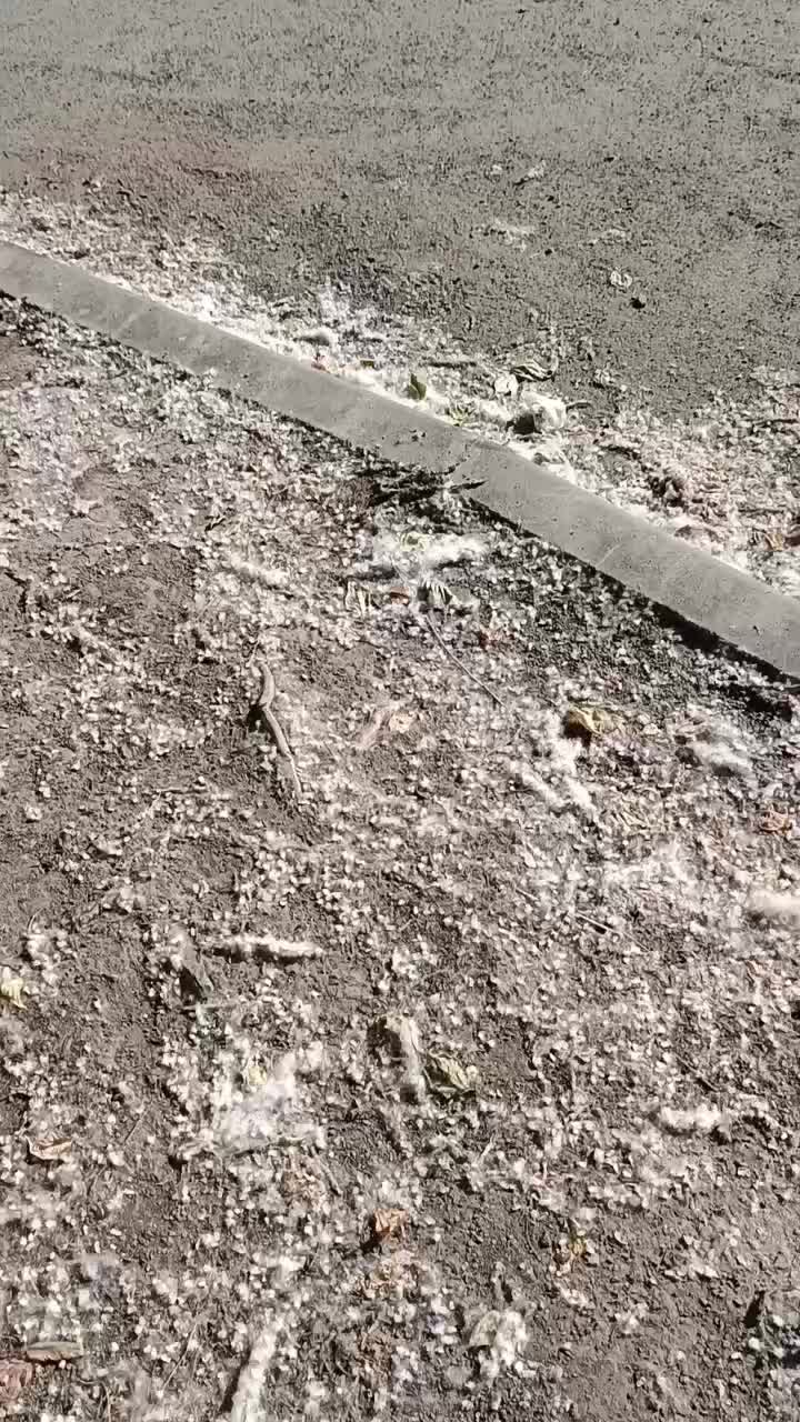 @газель