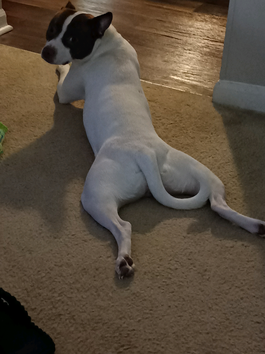 @Taniki