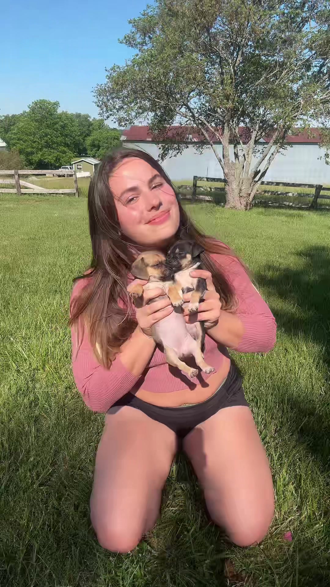 @💰Cash🐶
