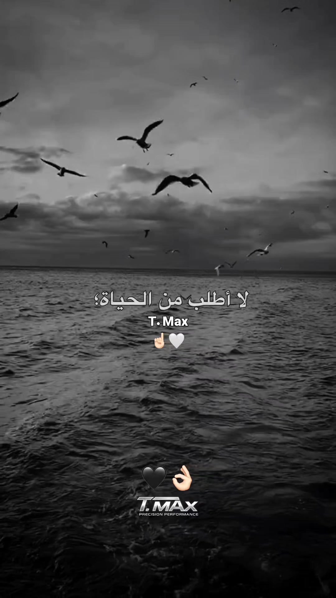 @𝗧-𝗠𝗮𝘅🇩🇿