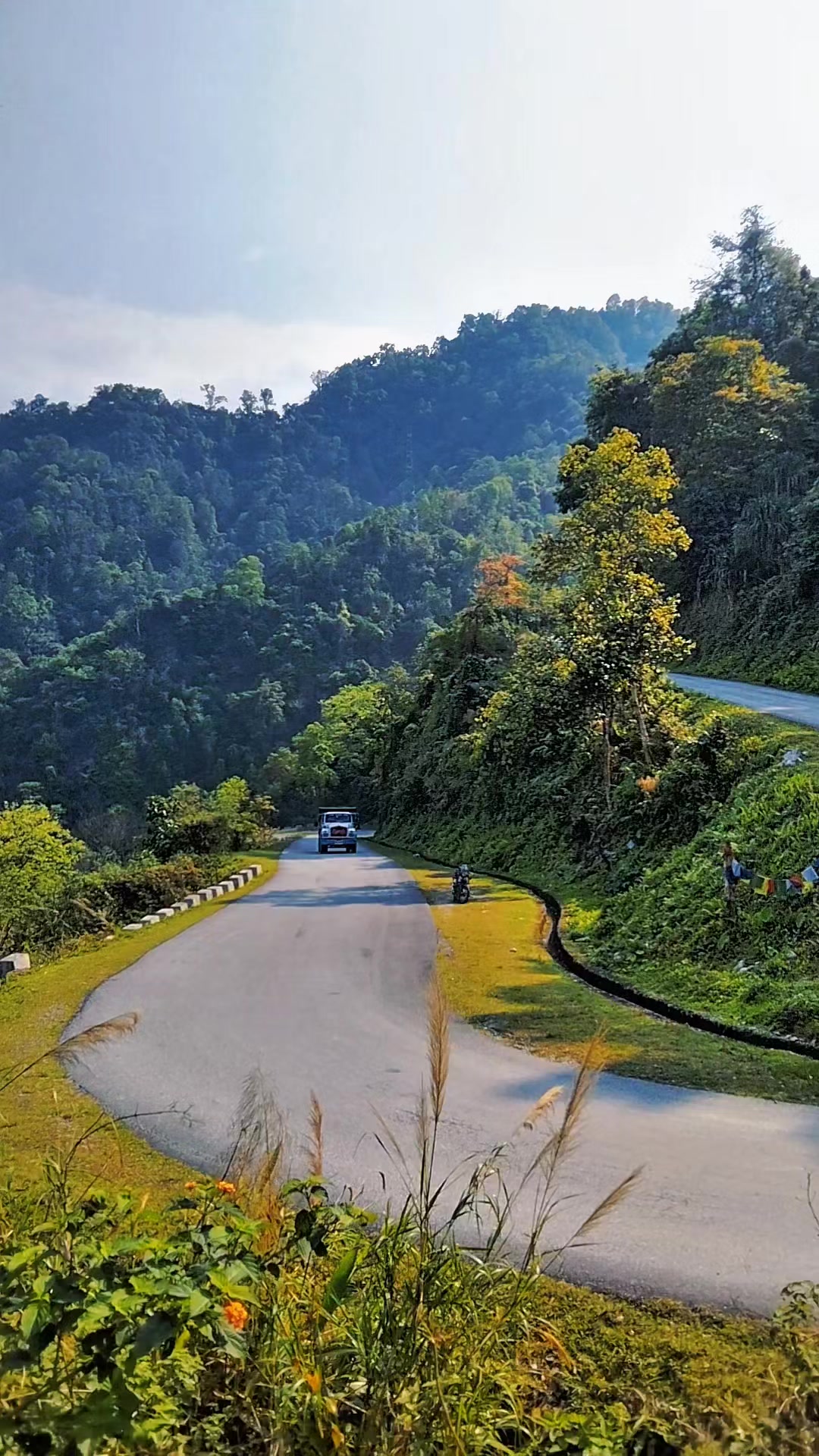 @Solo Season-@🇧🇹