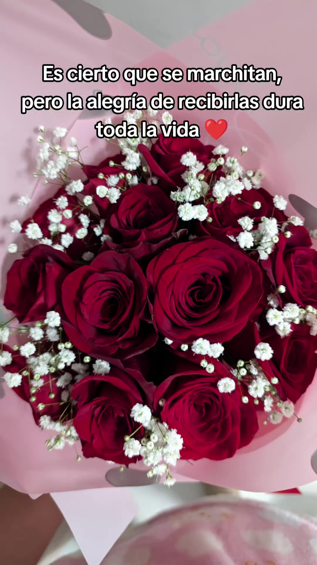 @Erika ✝️❤️🩹