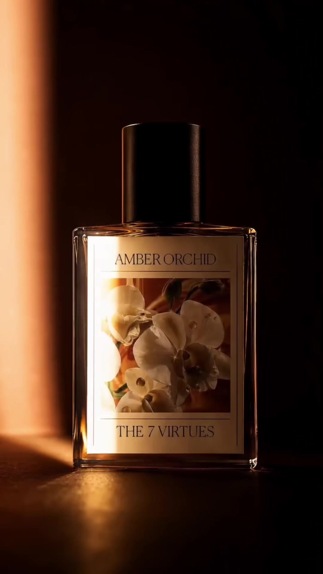 @The 7 Virtues