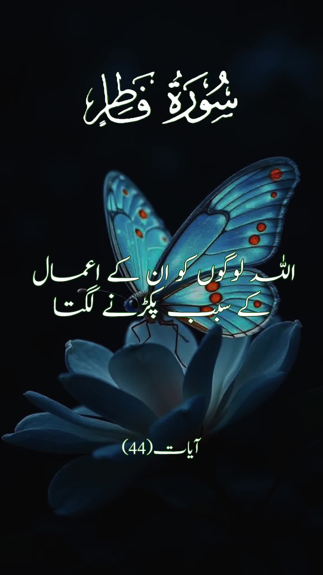 @S ᴀ ᴍ ᴀ ʀ࿐Sђ&alpha;ђ★043