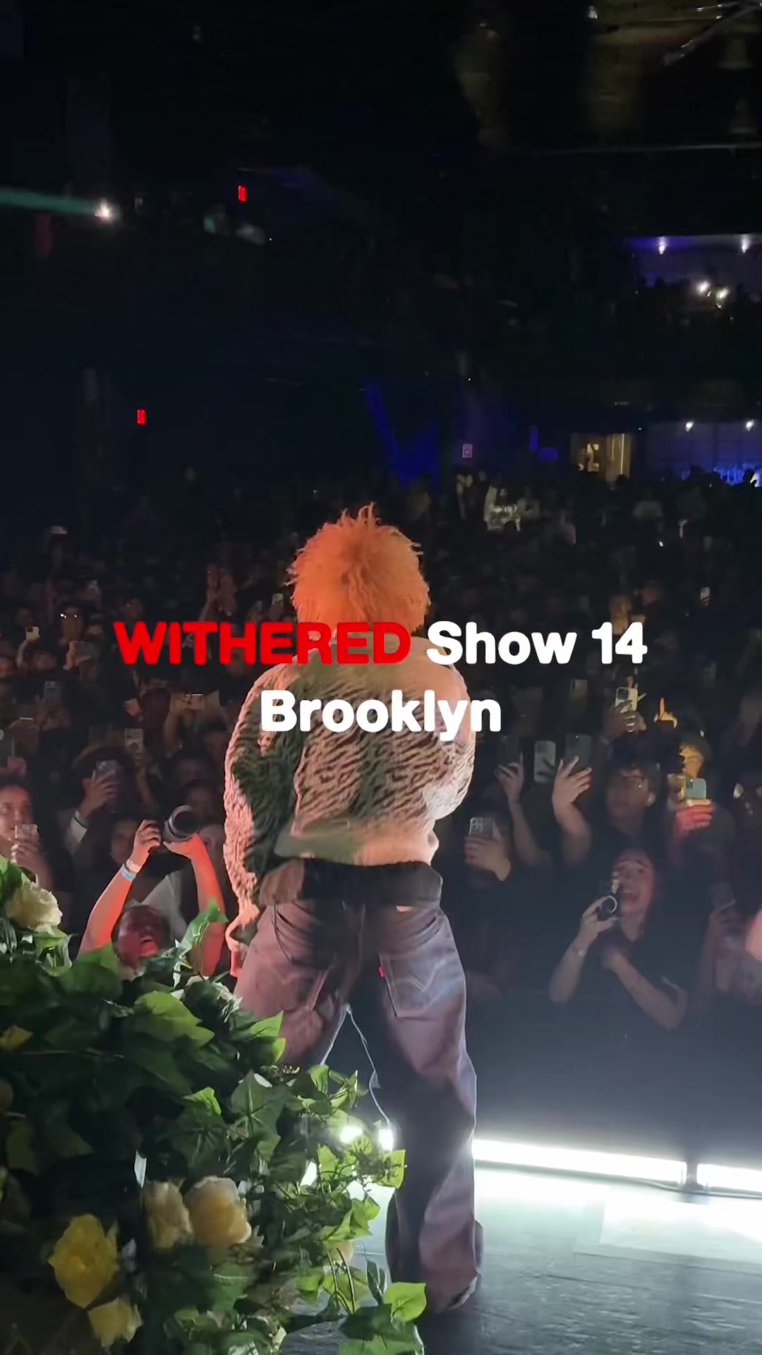@d4vdtour