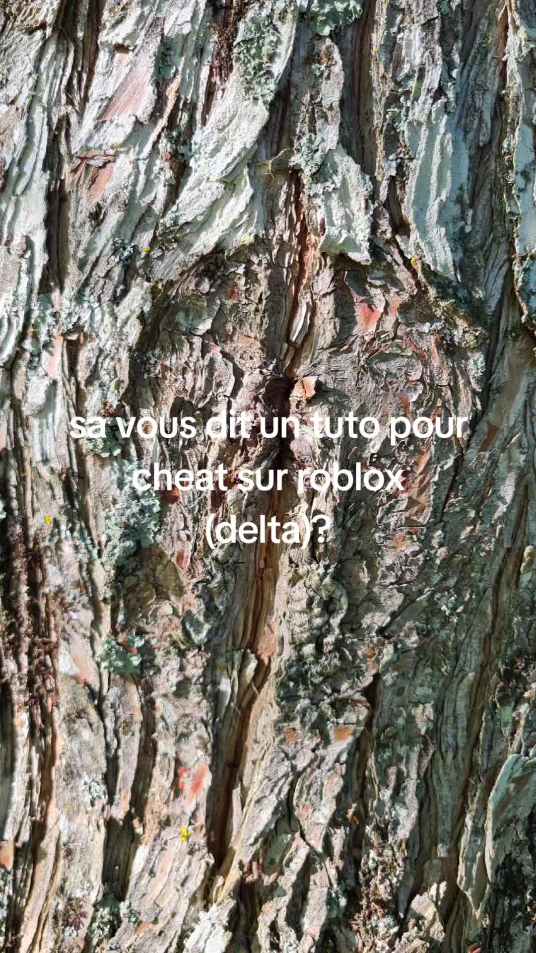@flo89