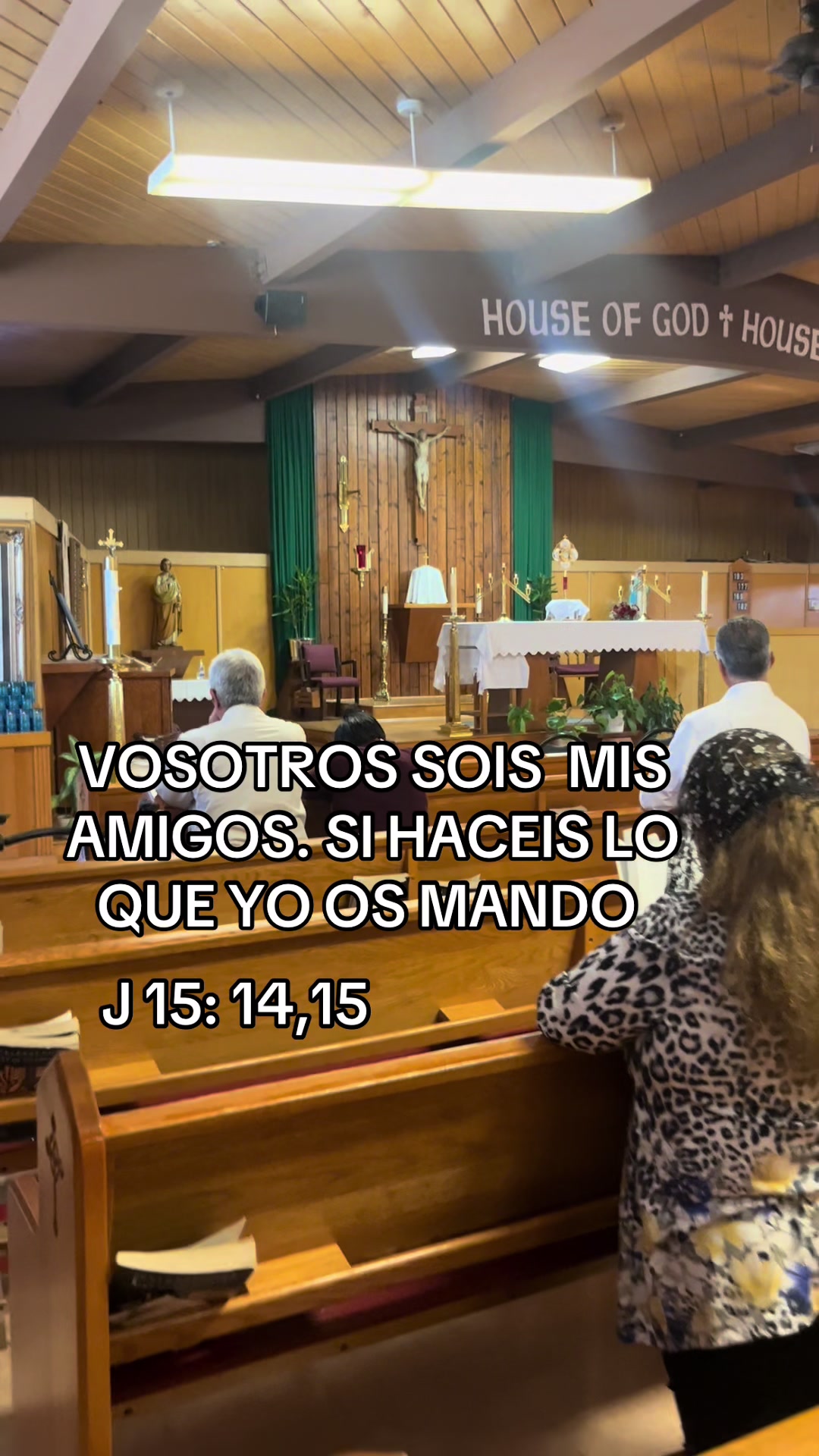@salmacatolica