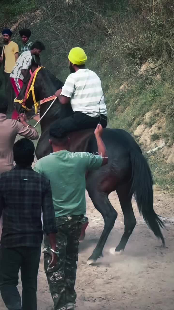 @🏇 MARWARI HORSE RACING 🏇
