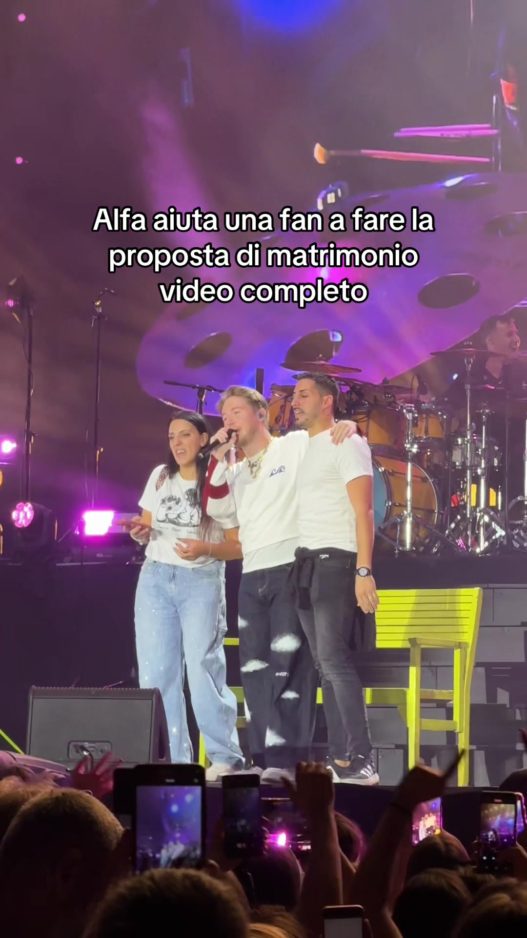 @alfa fan