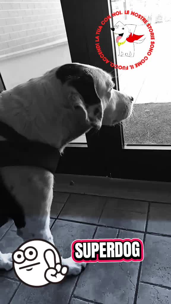 @🖤𝓗𝓸𝓟𝓮🌹