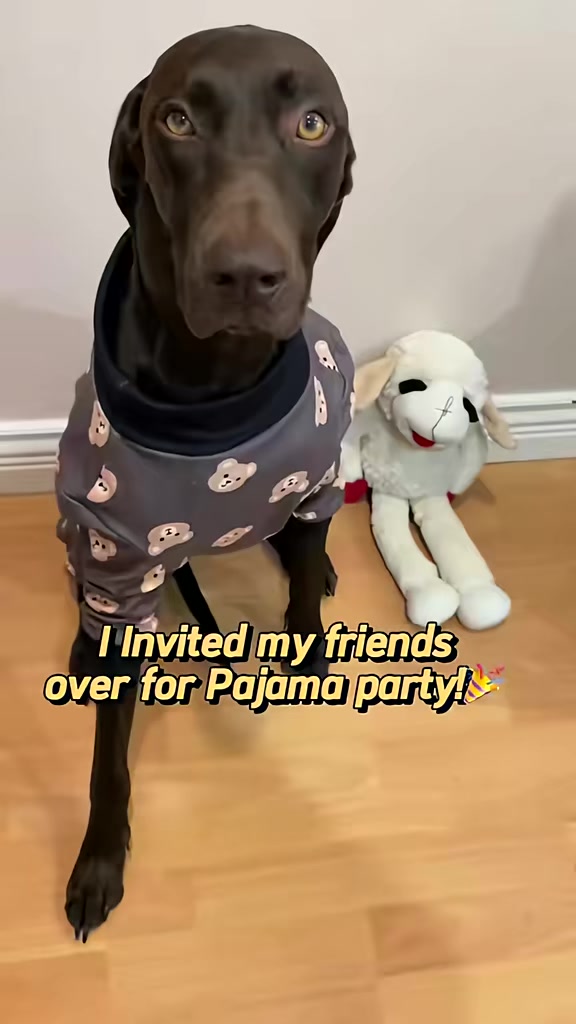 @Rocky_and_mom 🐾❤️🐶