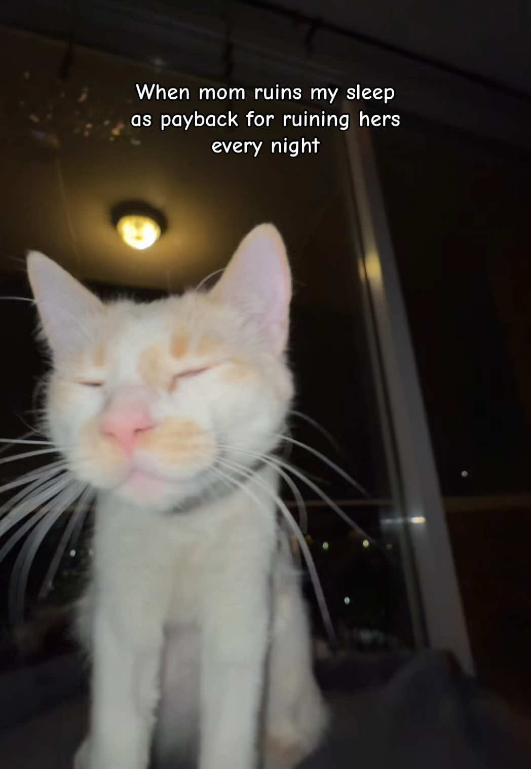 @Gizmo & Falkor🇨🇦🐾