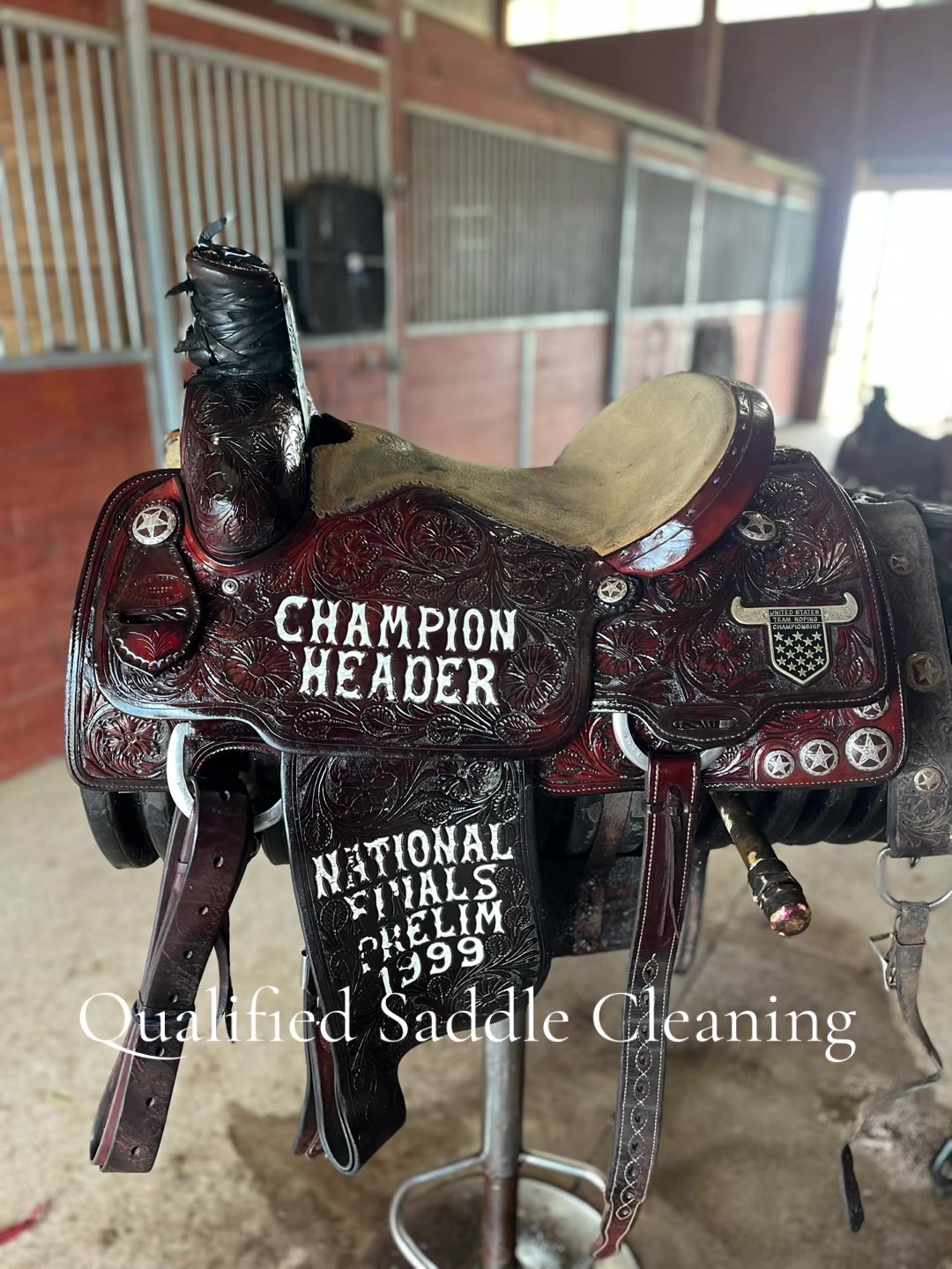 @Qualified Saddle Cleaning