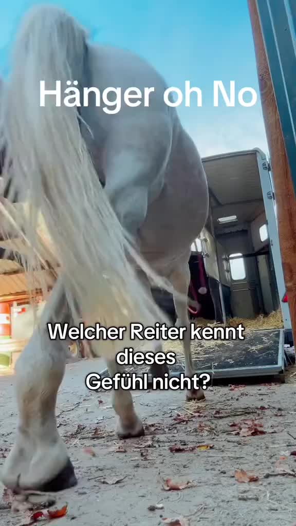 @Ani