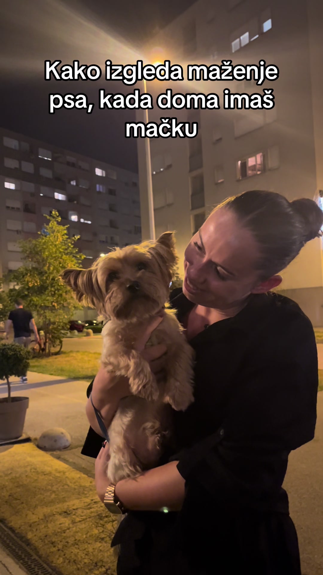 @leyla