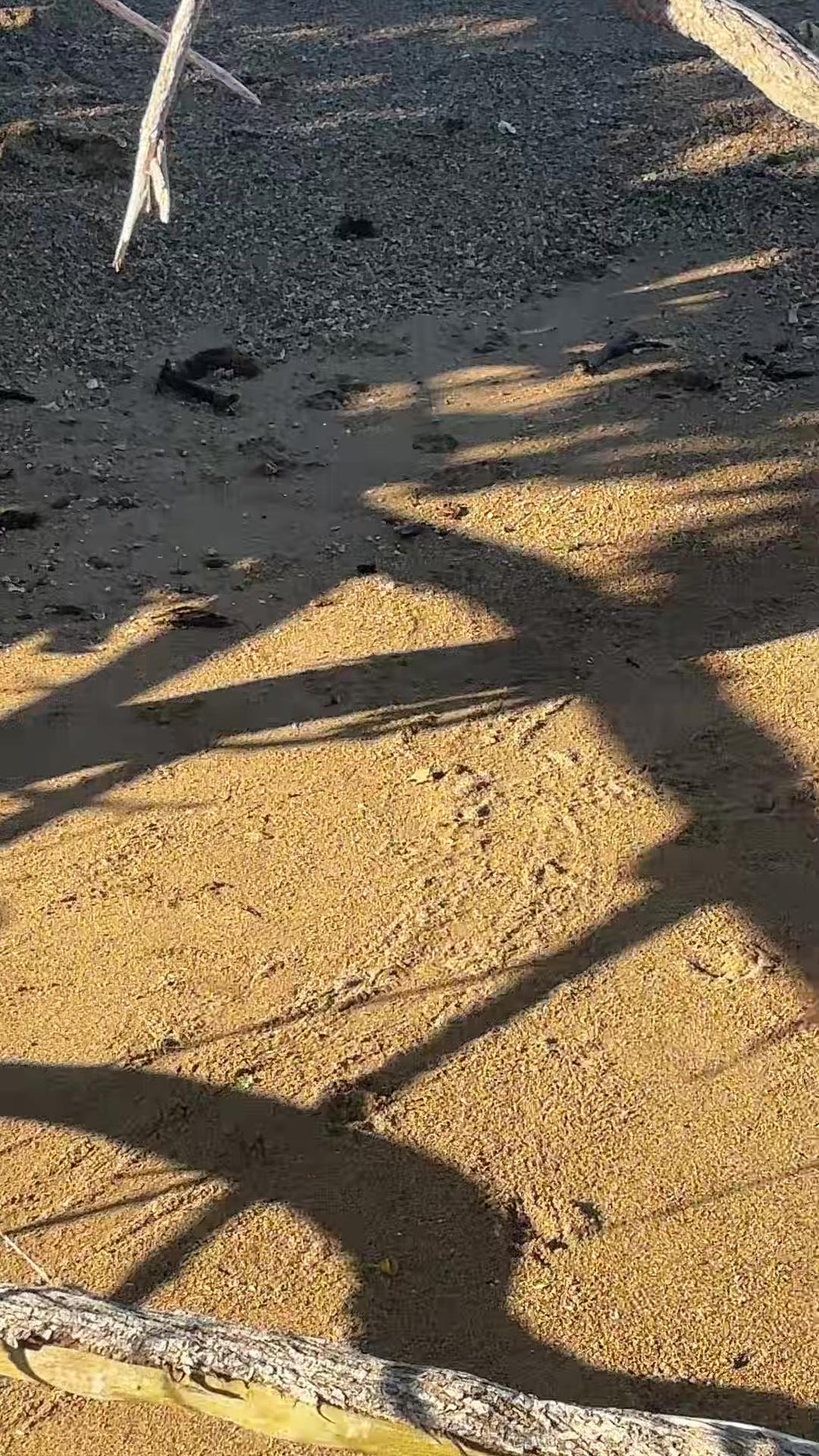 @Hawai’i loa kūlike kākou