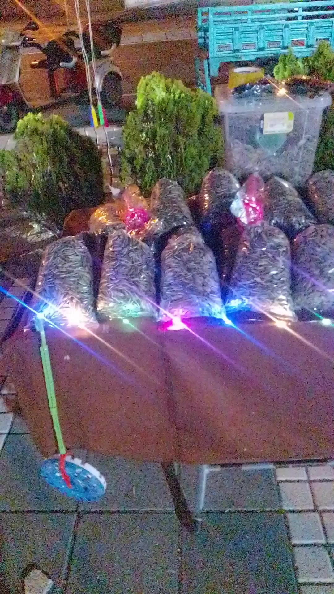 @nefretimsin dünya