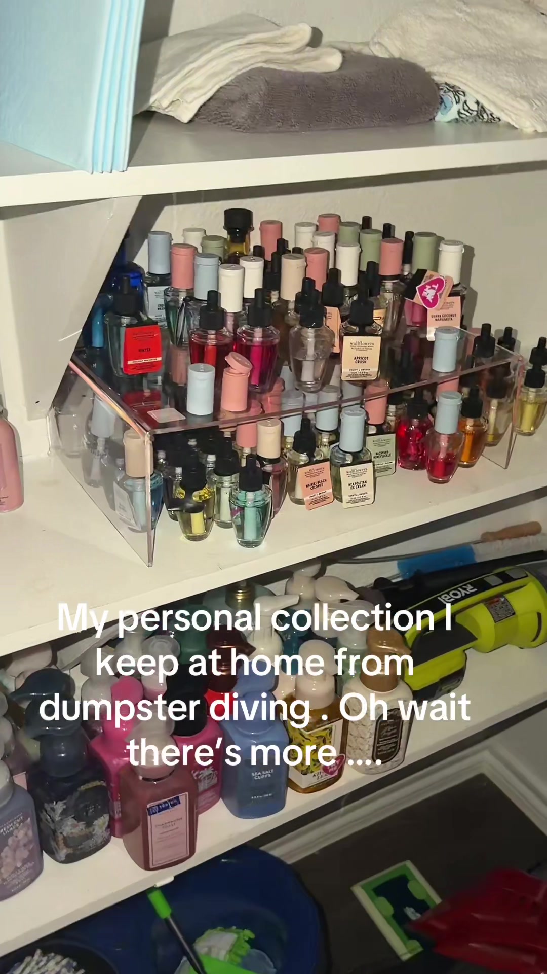 @DumpsterDivingGoddess