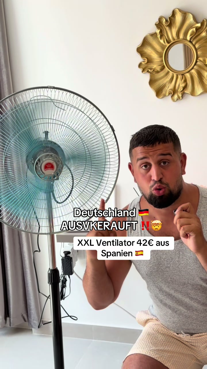 @SEBO DEAL&lsquo;S