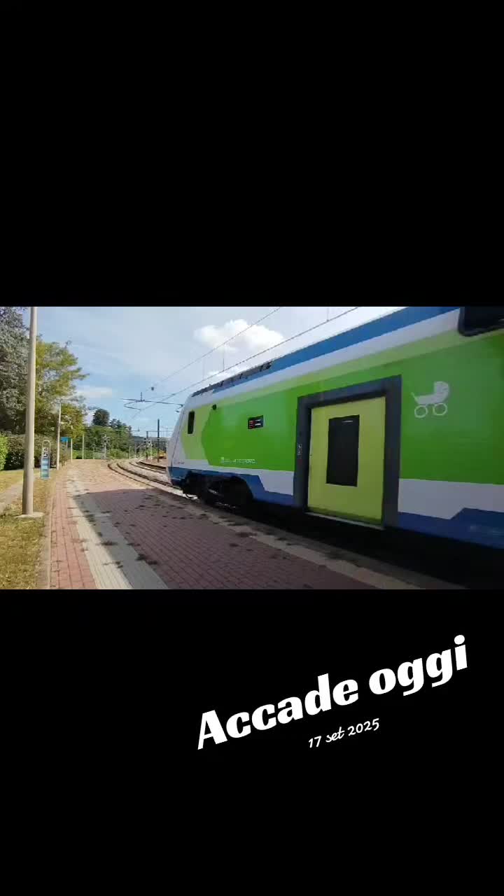 @emrecangultepe863