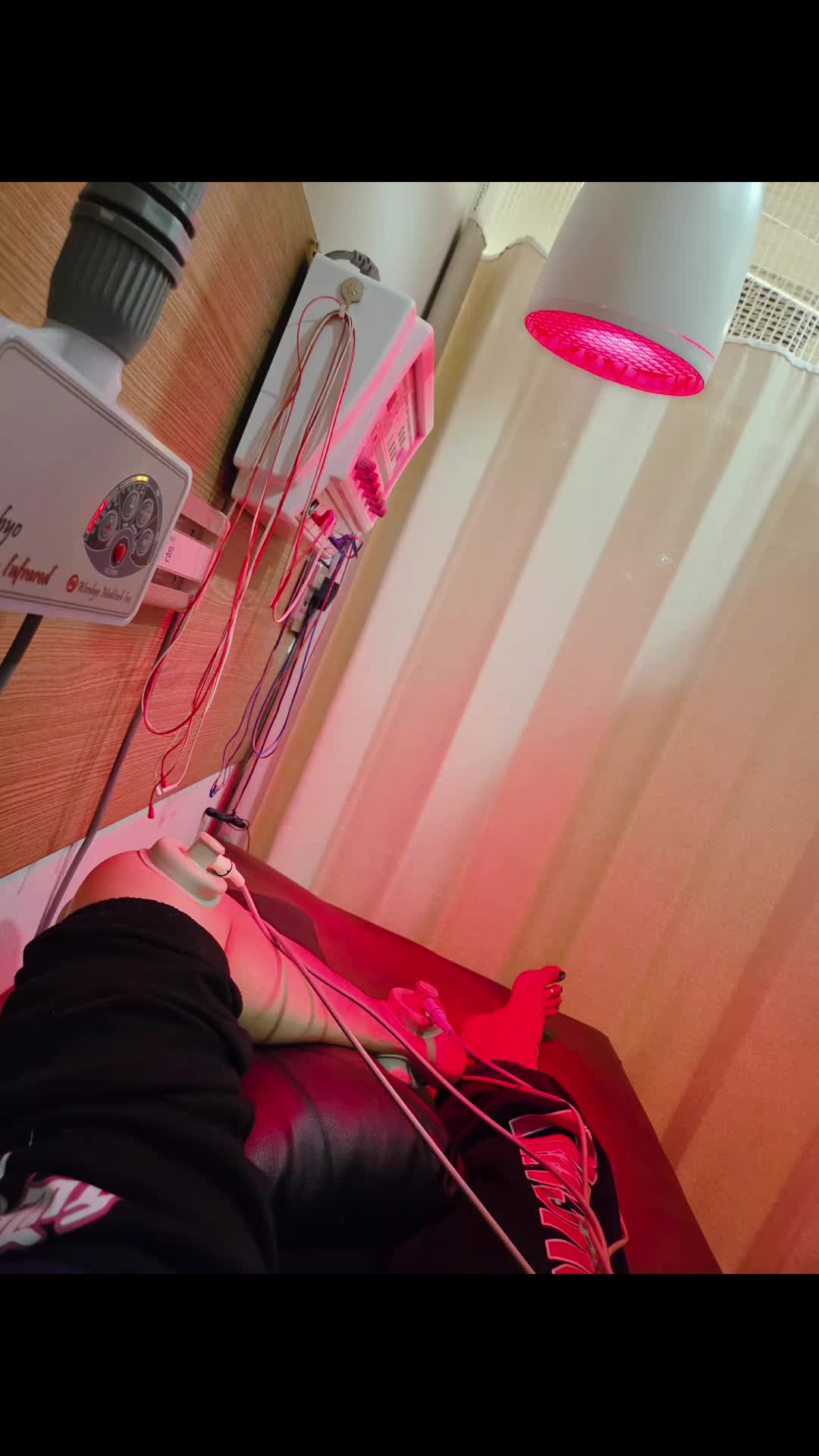 @카멜레온