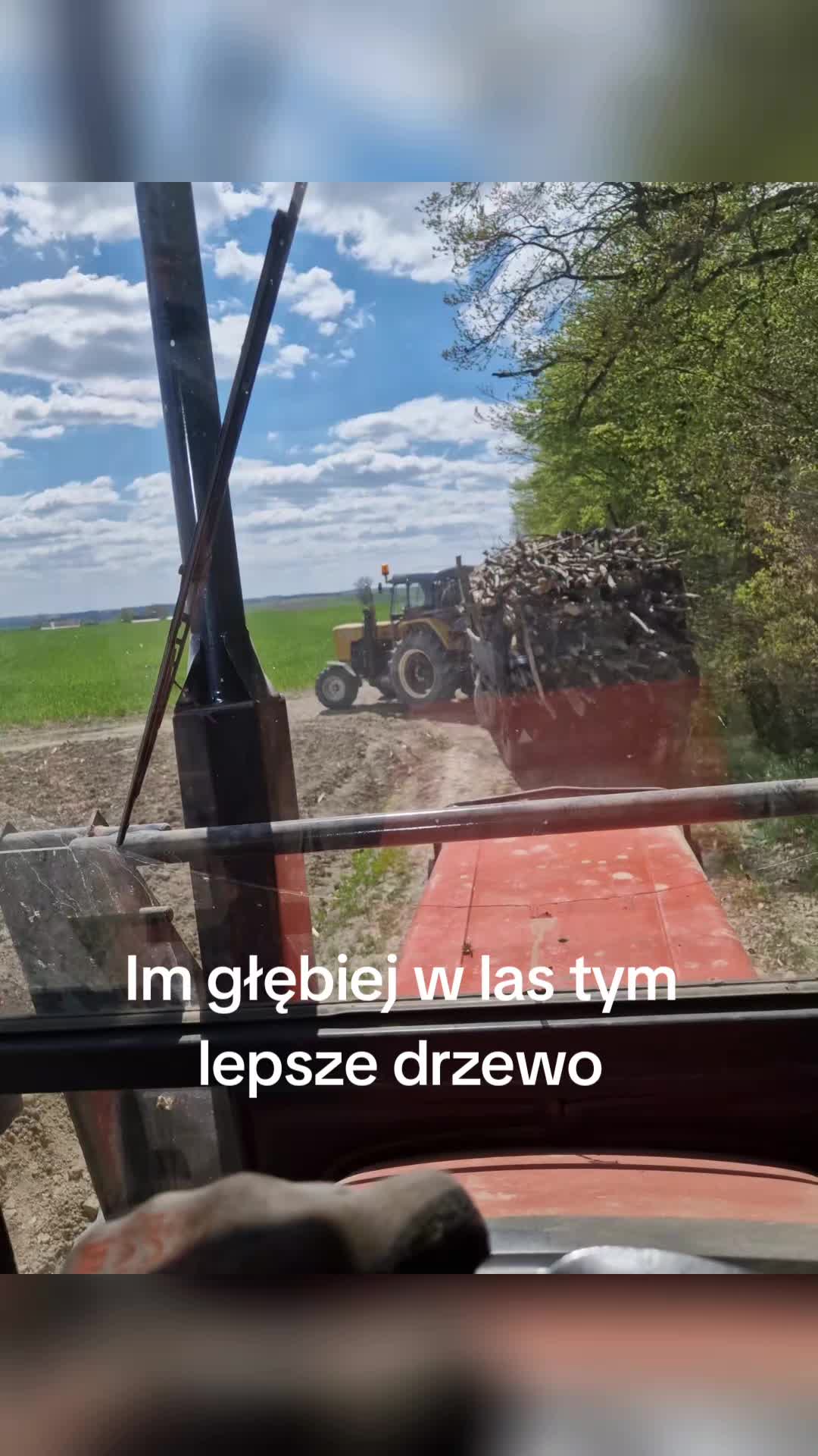 @seszunia