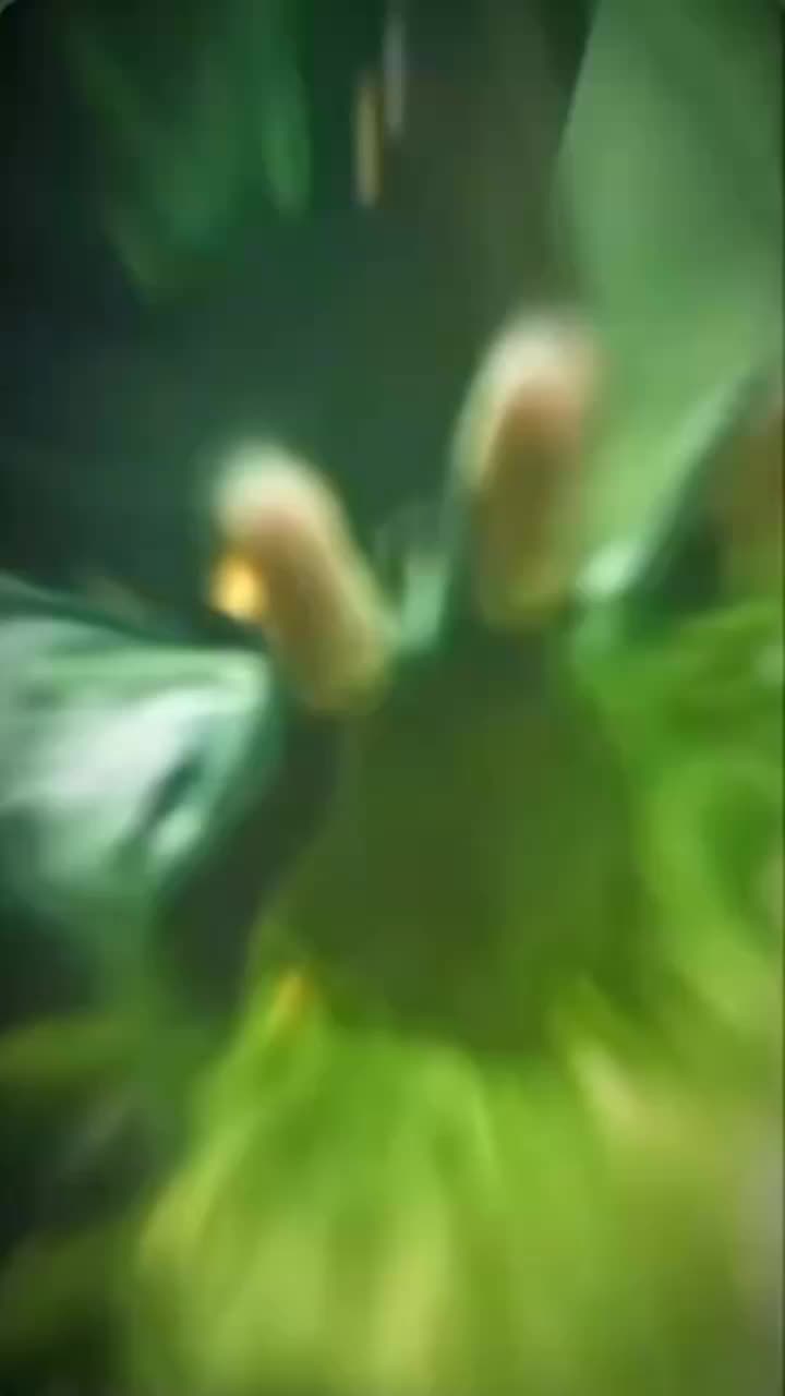 @🌠🅿️UT®️🅰️ TunGG🅰️L☄️☄️