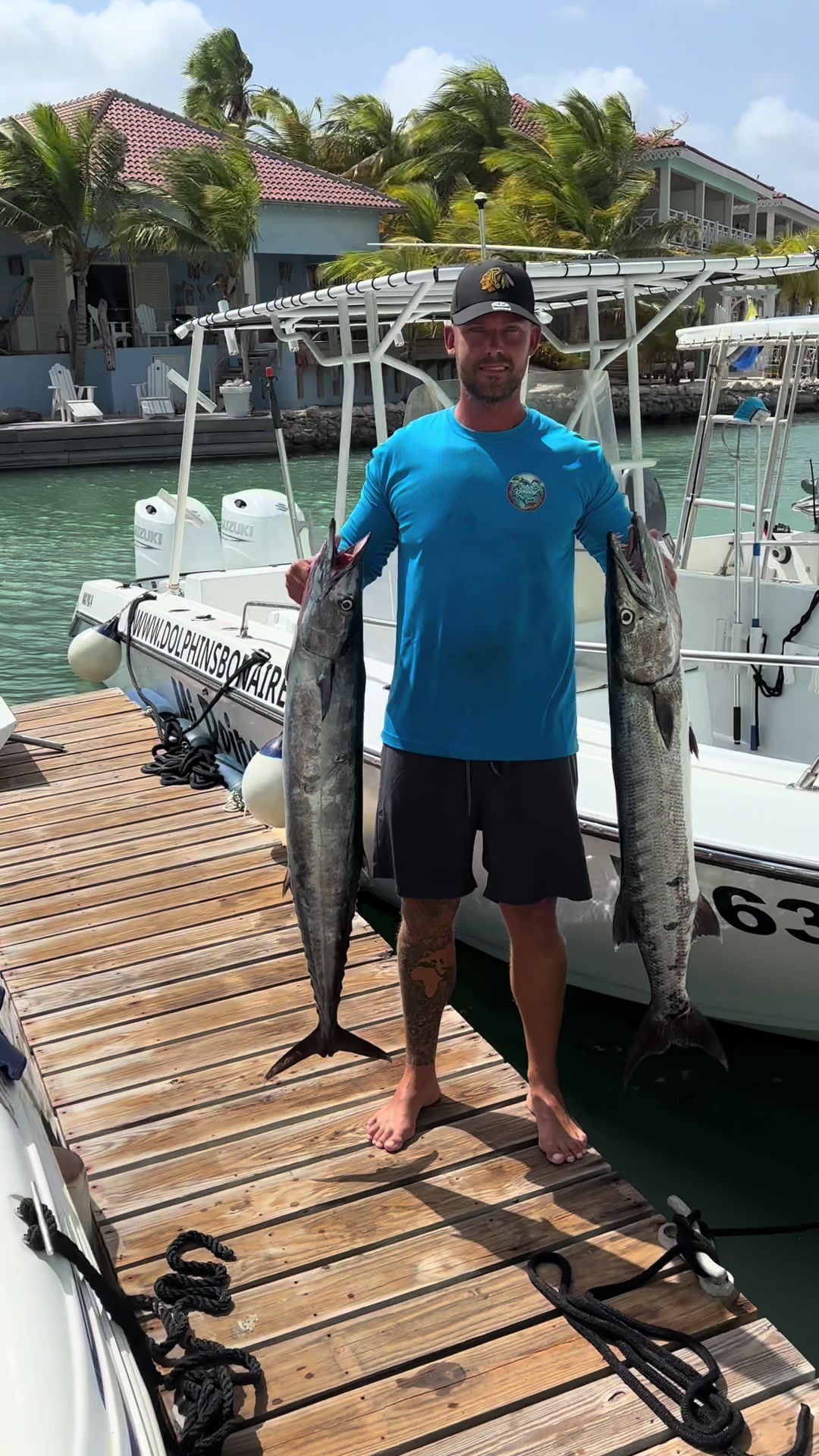 @dolphinsbonaire