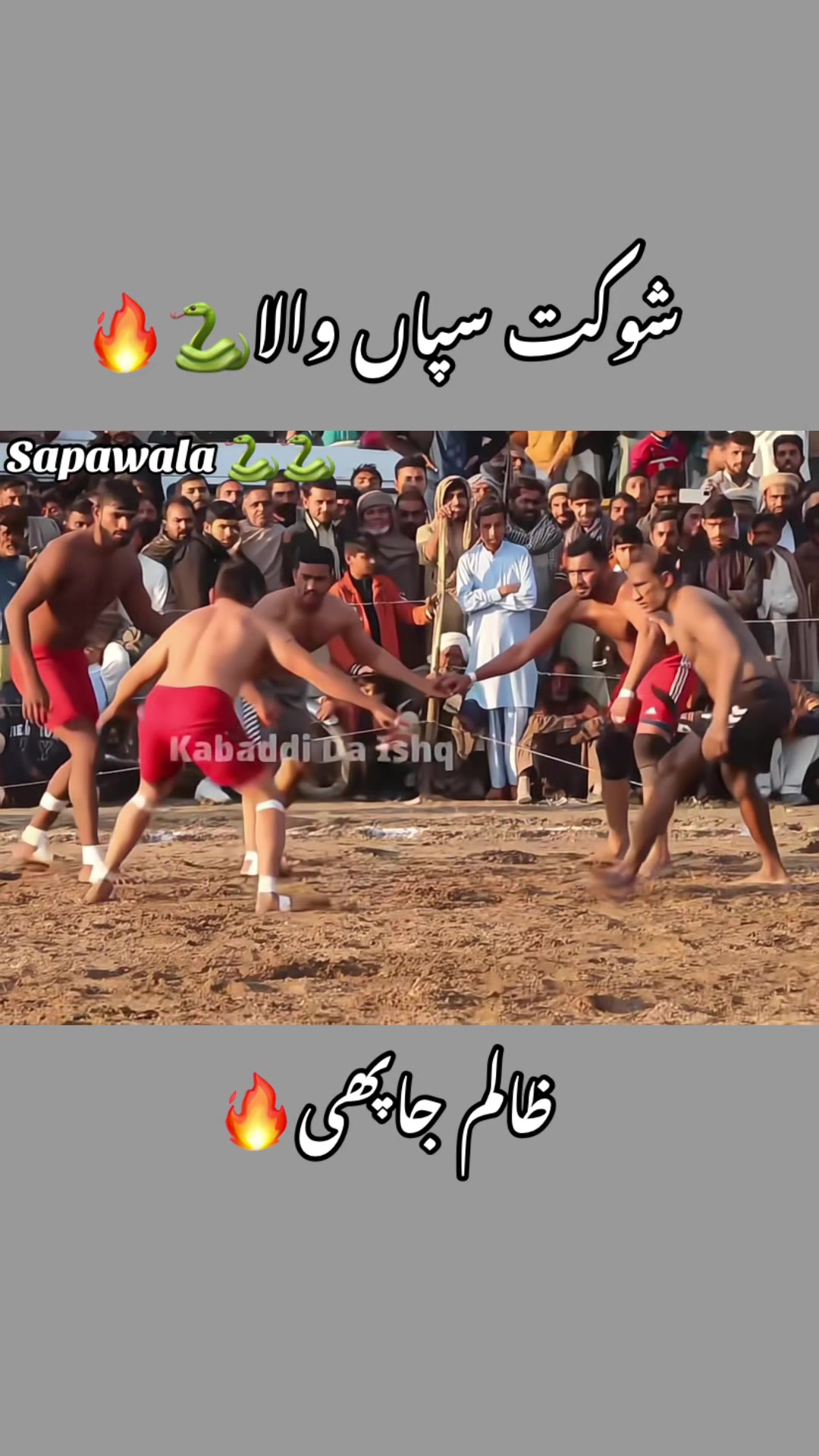 @Shokat sapa wala 🐍🐍