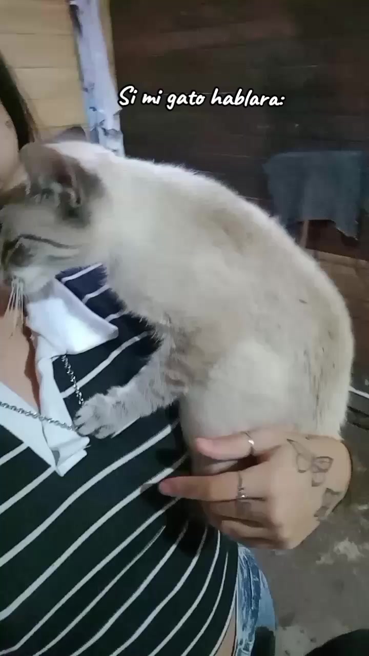 @𝑳𝒖𝒅𝒎𝒊𝒊𝒍𝒂𝒂🍒✨