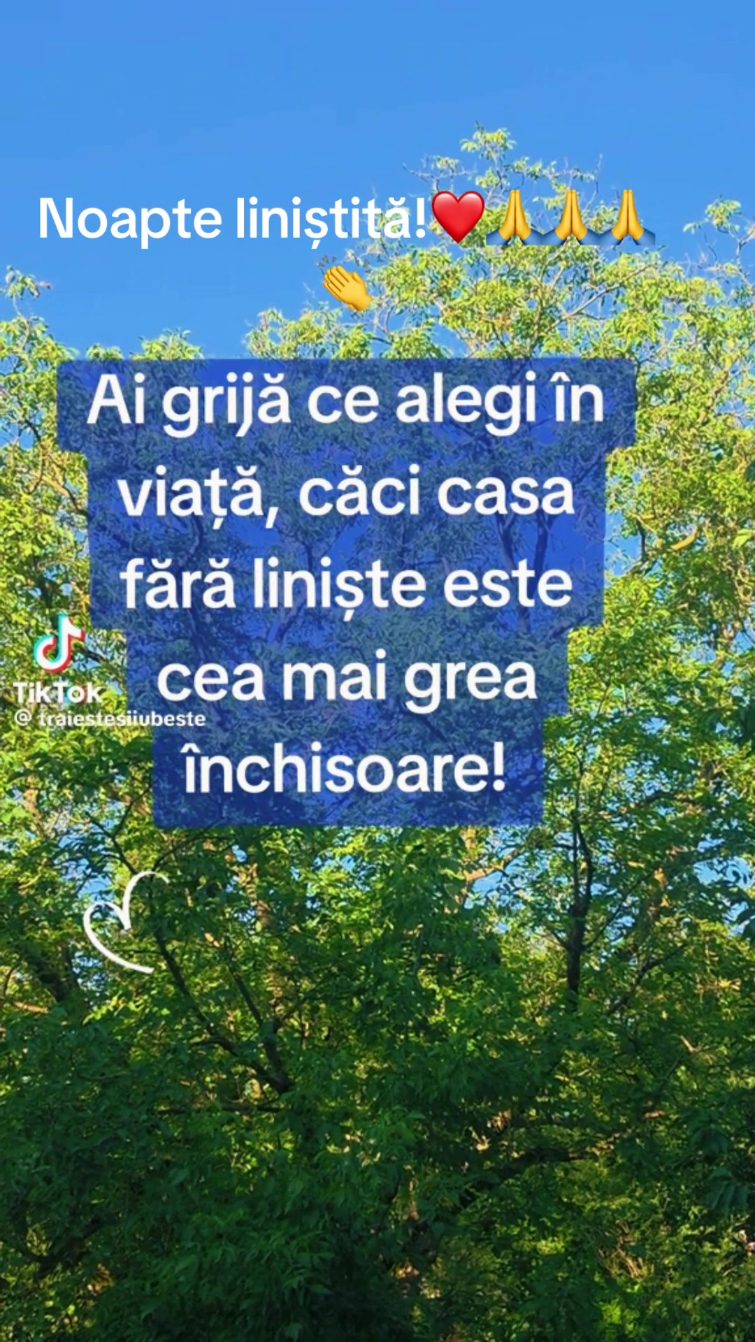 @Crina Lucia Ruja