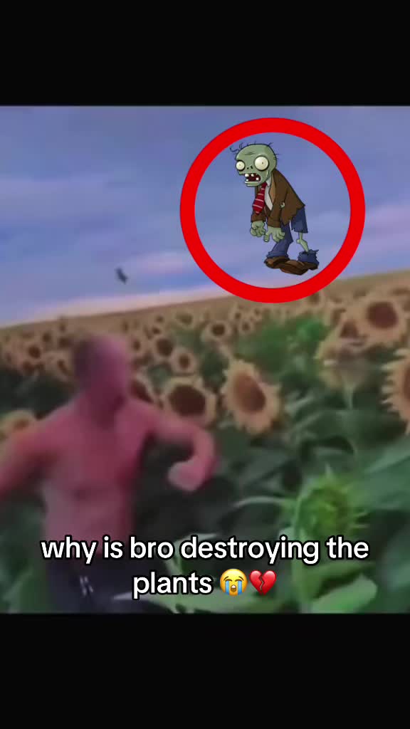 @bababooy1.2